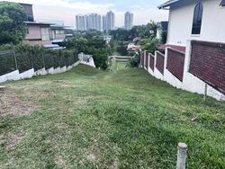 Henry Park (D10), Detached #557701101